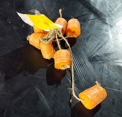 Scotch Wichmann carrot performance art prop