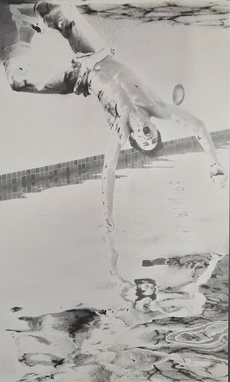 Scotch Wichmann - Performance Art - Mermaids
